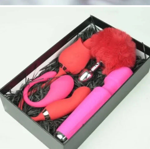 Dual-Function Personal Wellness Massager Set – Rechargeable Silicone Device