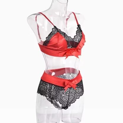 Elegant Seduction – Sexy Two-Piece Lingerie Set for Women - Image 2
