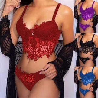 Elegant Embroidered Lace Bralette Set – Sexy Bra & Panty Lingerie for Women