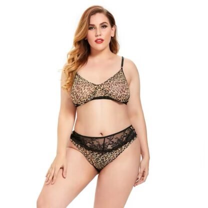 Plus Size Sheer Lace Lingerie Set – Sexy Translucent Bra & Briefs for Women