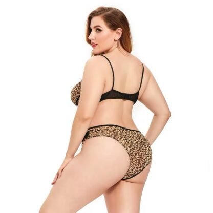 Plus Size Sheer Lace Lingerie Set – Sexy Translucent Bra & Briefs for Women - Image 2